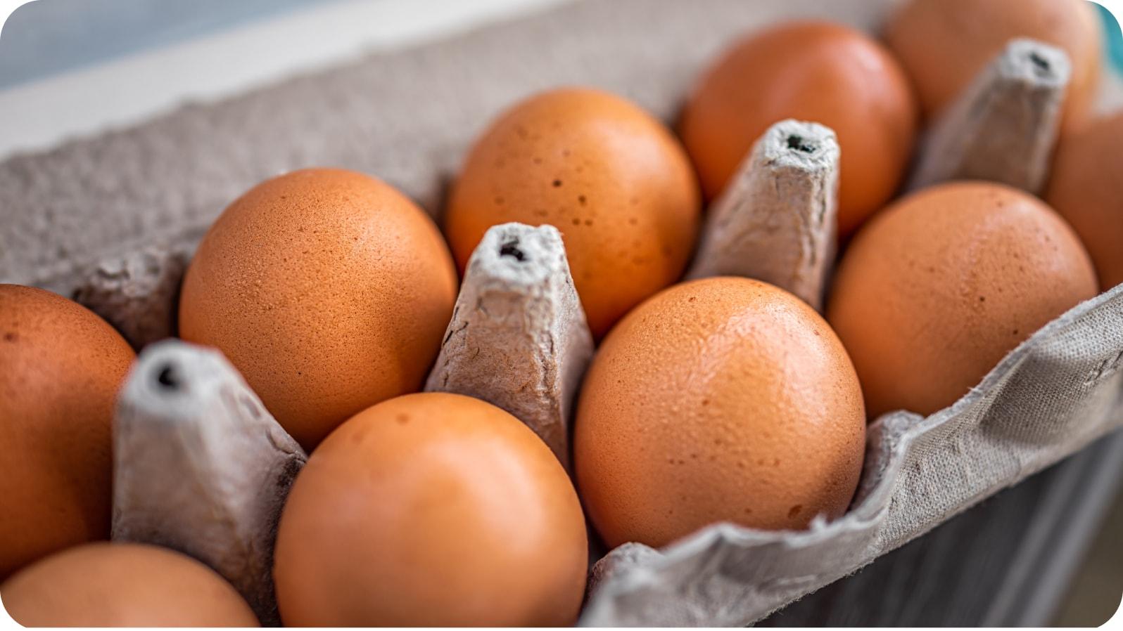 starting-solid-foods-eggs